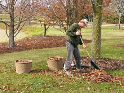 Simplifying Your Garden