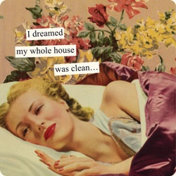 outsmart cleaning